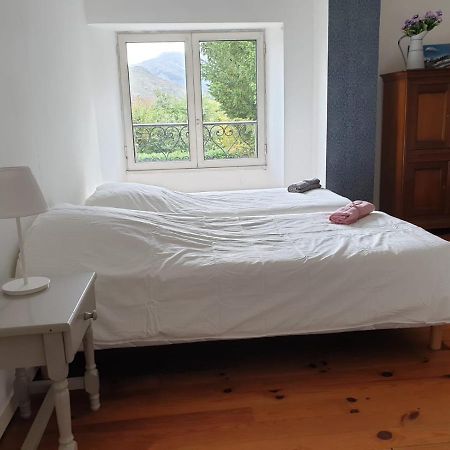 La Bergerie, Maison Spacieuse Avec Grand Jardin, Vue Sur Les Pyrenees Λούρδη Εξωτερικό φωτογραφία